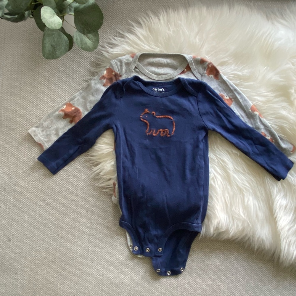 Carter's Blue and Gray Bodysuit Set with Bear Motif